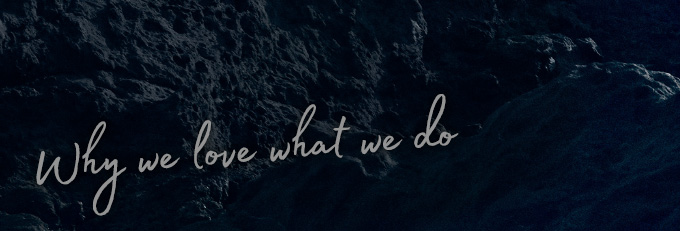 Why we love what we do Why we love what we do